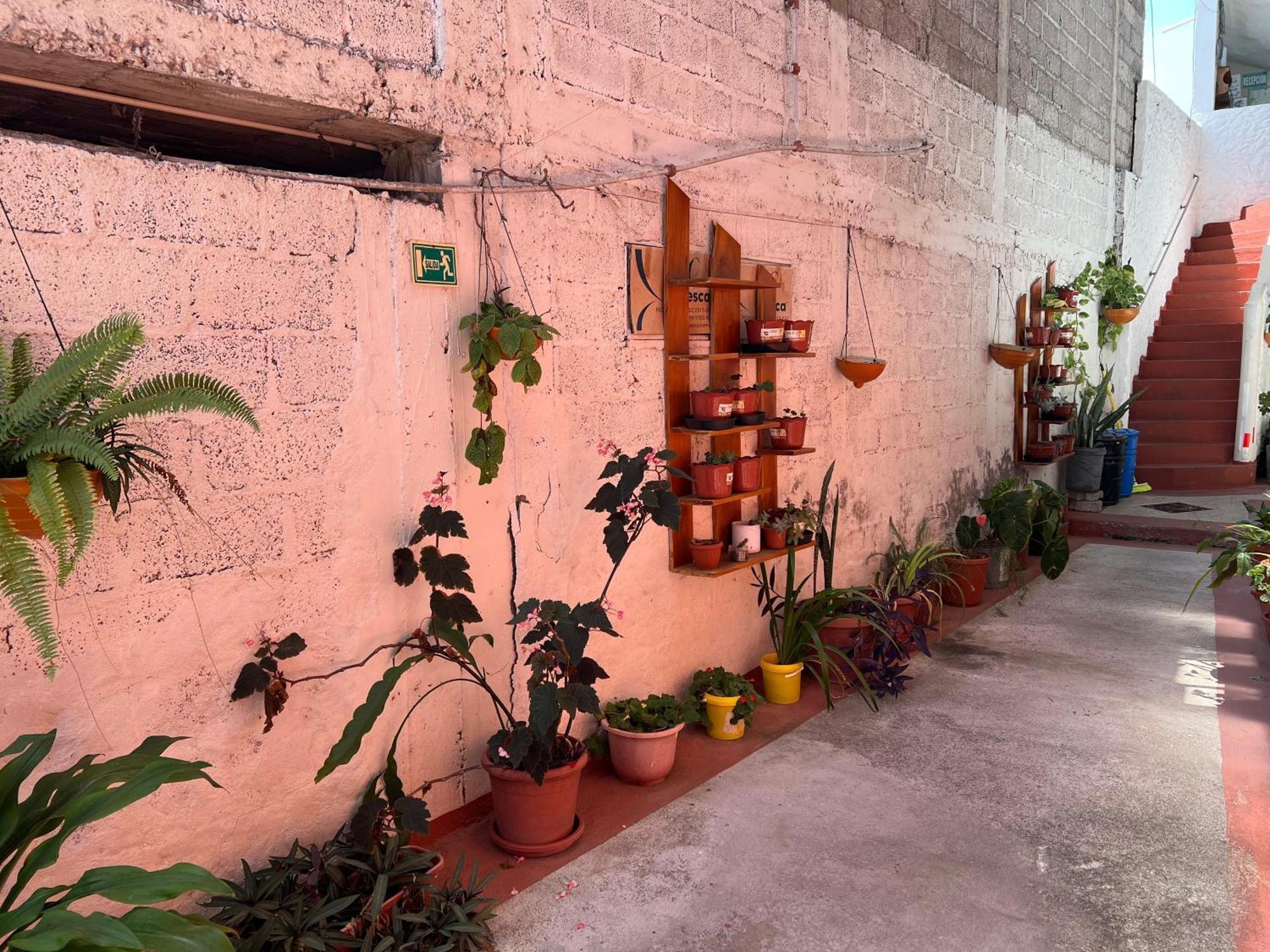 Hostal Cattleya Puerto Baquerizo Moreno Exterior foto