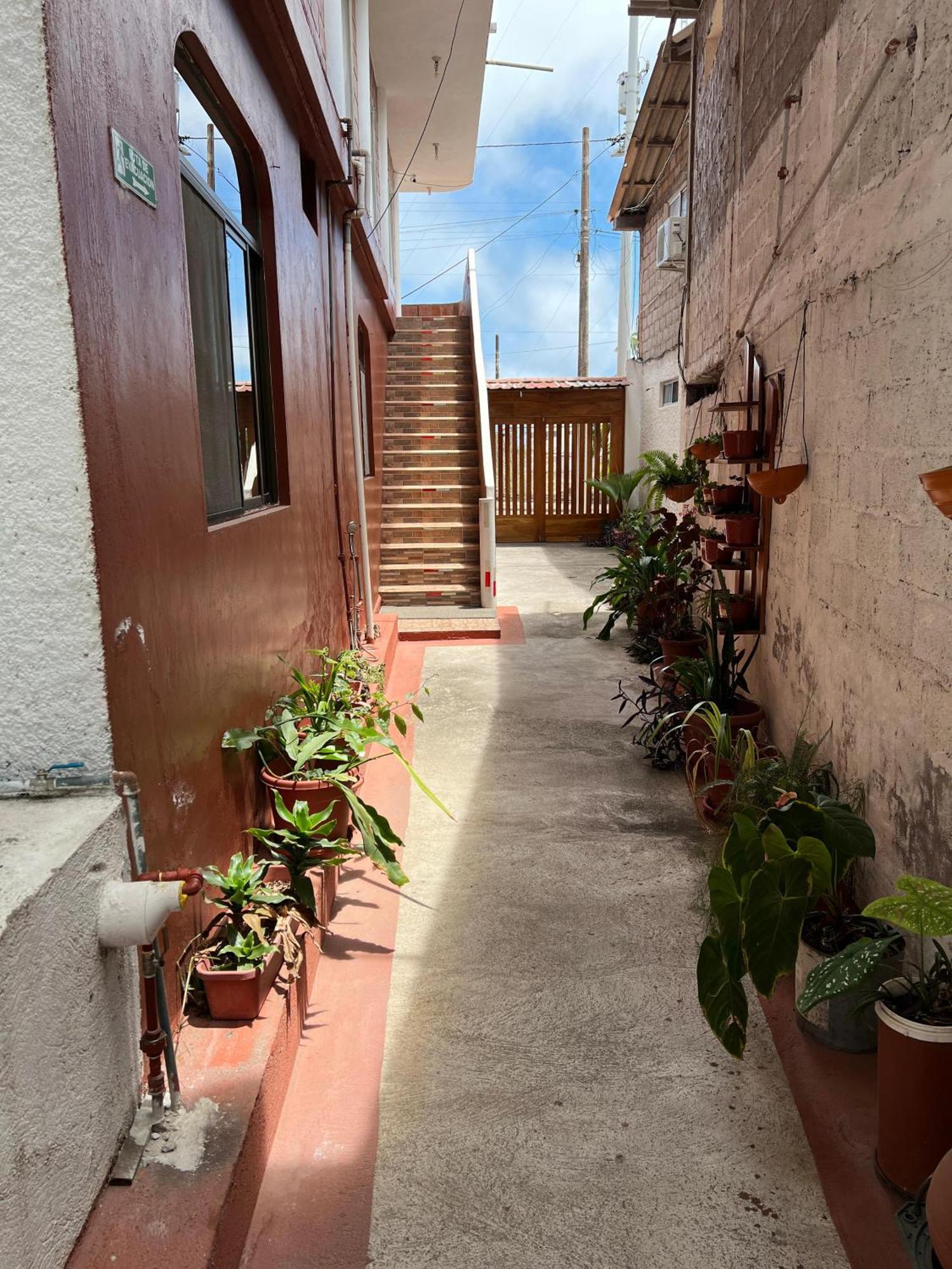 Hostal Cattleya Puerto Baquerizo Moreno Exterior foto